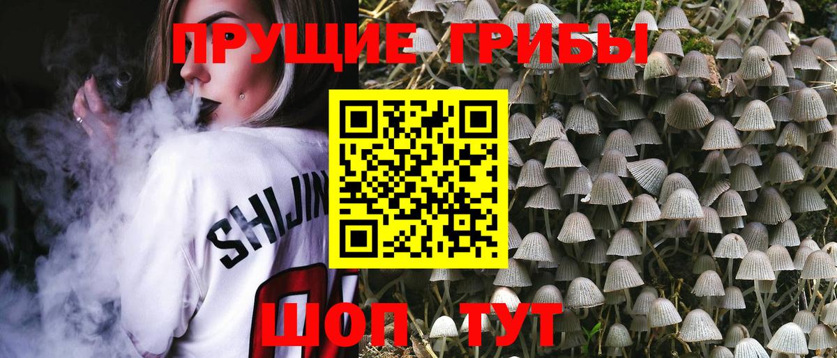Псилоцибиновые грибы Cubensis Майский