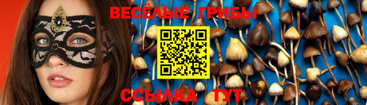 Майский  хочу   Псилоцибиновые грибы мицелий  Вход с VPN  Галлюциногенные грибы Psilocybine cubensis 